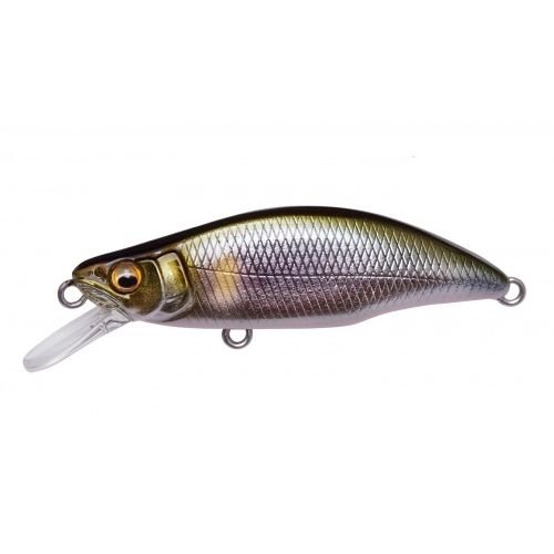 GH51 HUMPBACK (FS) - Tackle Shack TX