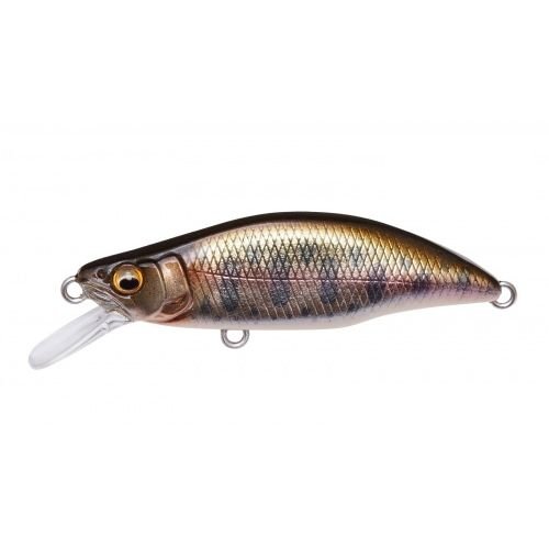 GH51 HUMPBACK (FS) - Tackle Shack TX