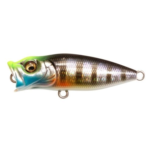BABY POPX (BFS) - Tackle Shack TX