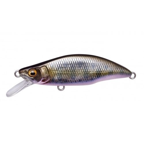 GH51 HUMPBACK (FS) - Tackle Shack TX