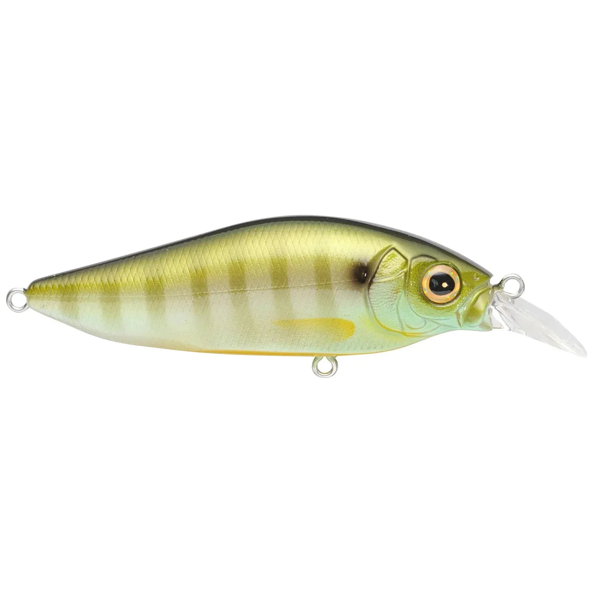 MEGABASS FLAPSLAP - Tackle Shack TX