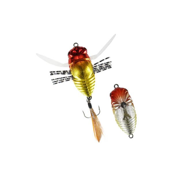 Duo International Realis Shinmushi 40mm