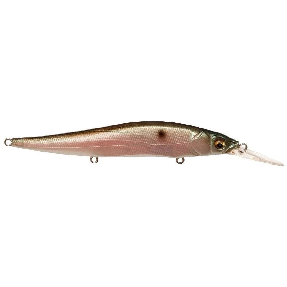 MEGABASS VISION ONETEN Jr. +1 - Tackle Shack TX