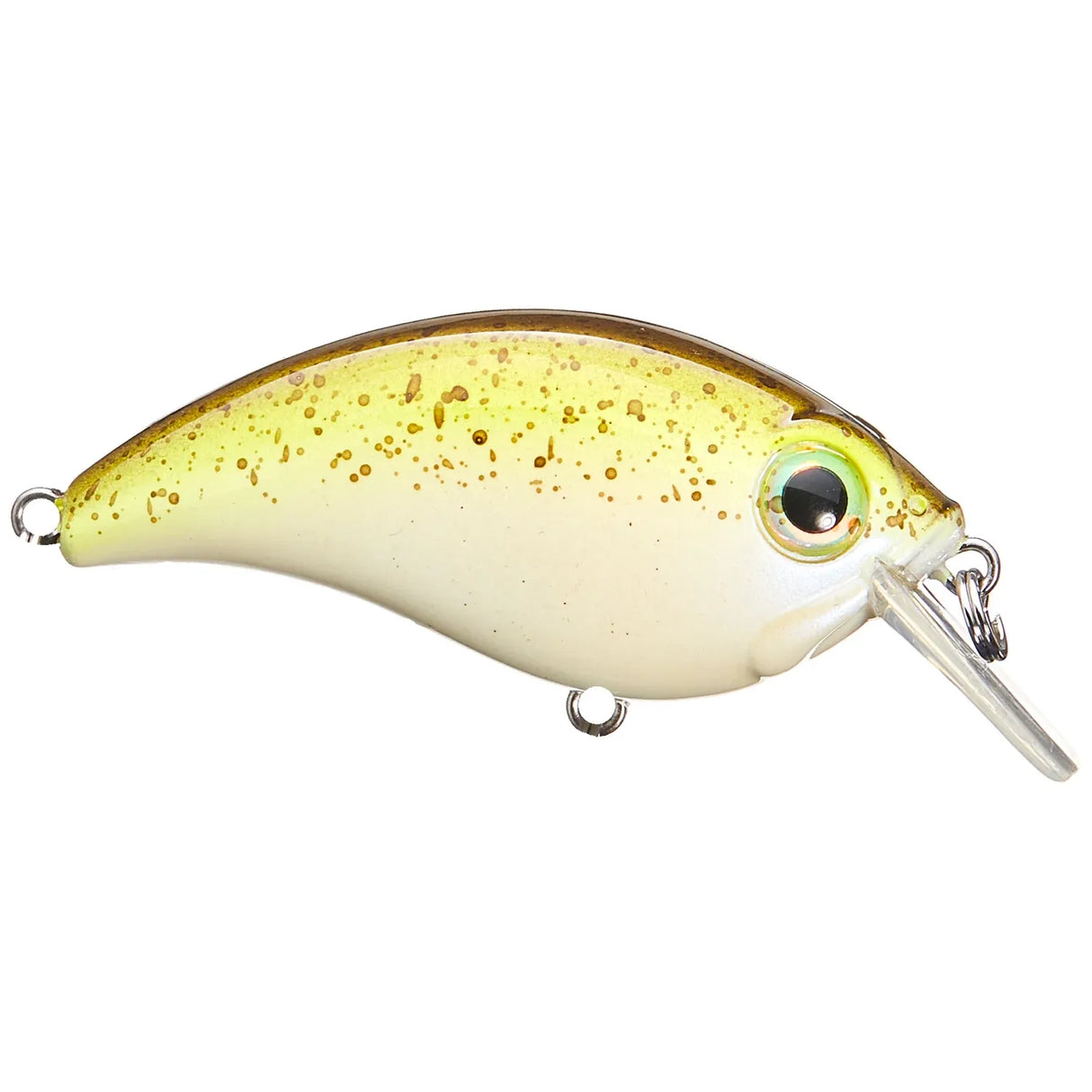 ATV SQUAREBILL - Tackle Shack TX