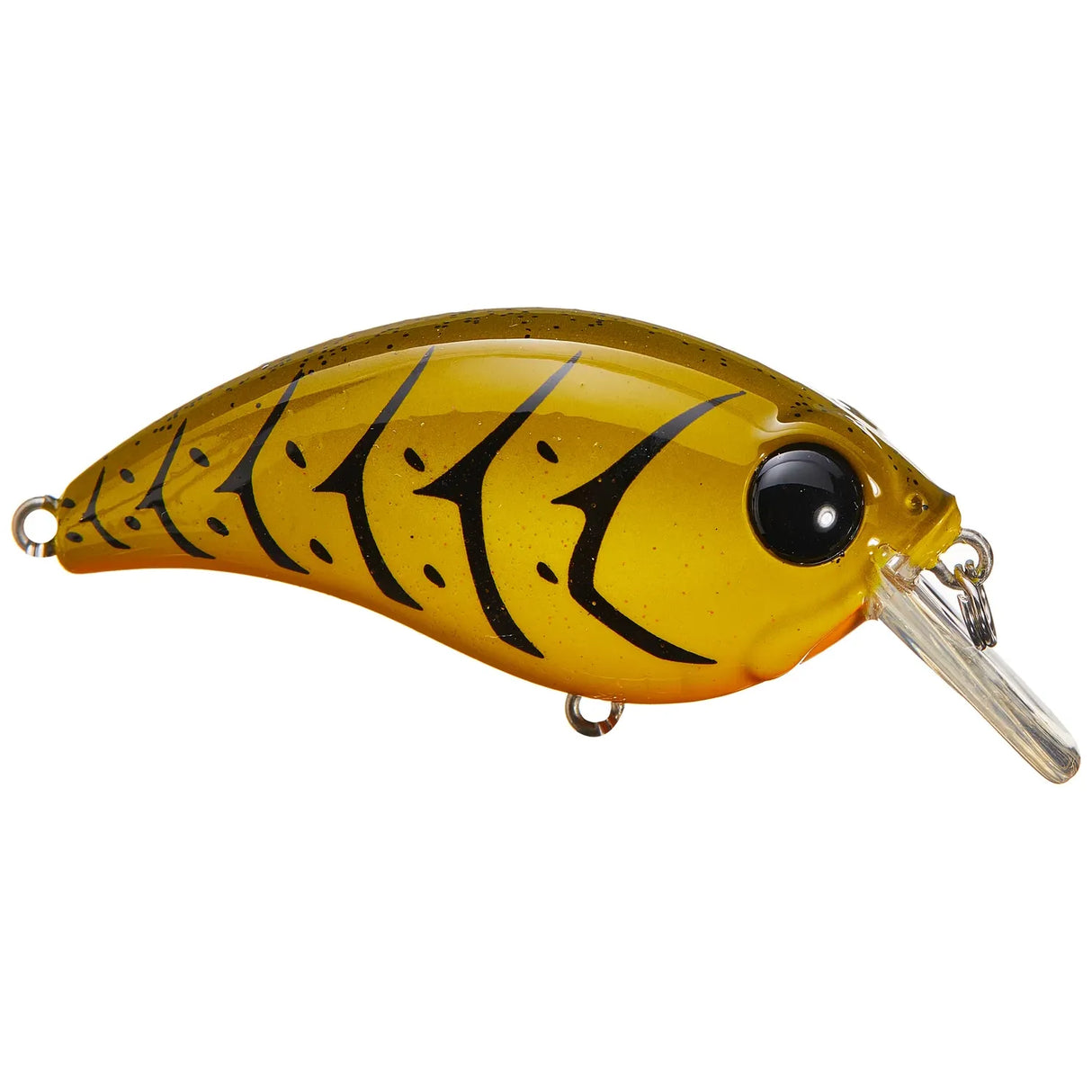 ATV SQUAREBILL - Tackle Shack TX