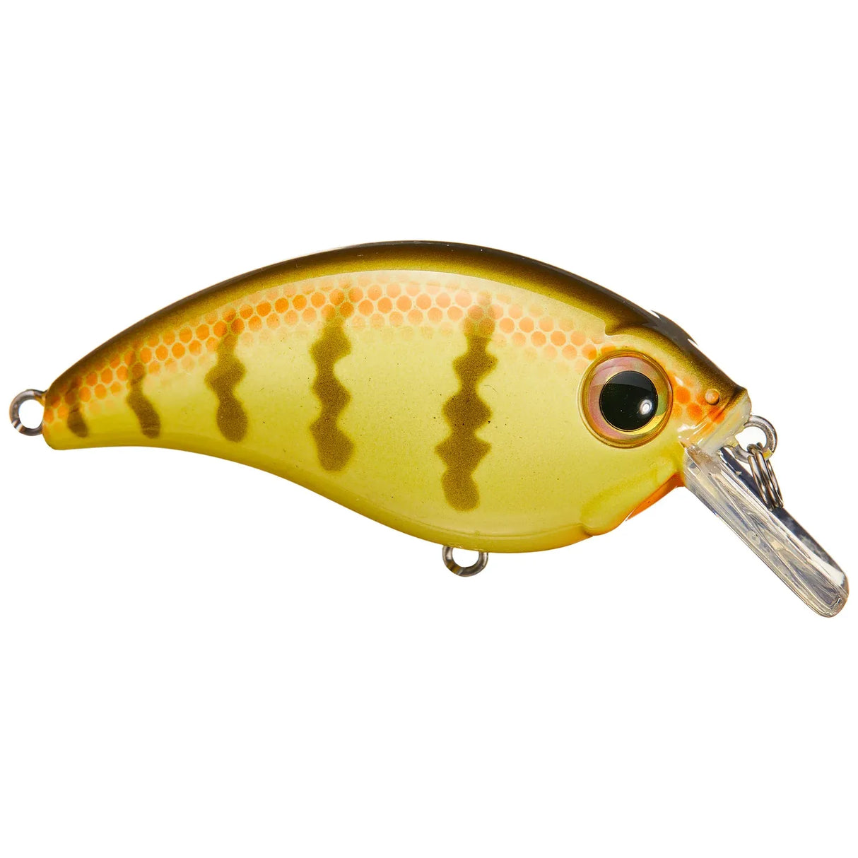 ATV SQUAREBILL - Tackle Shack TX