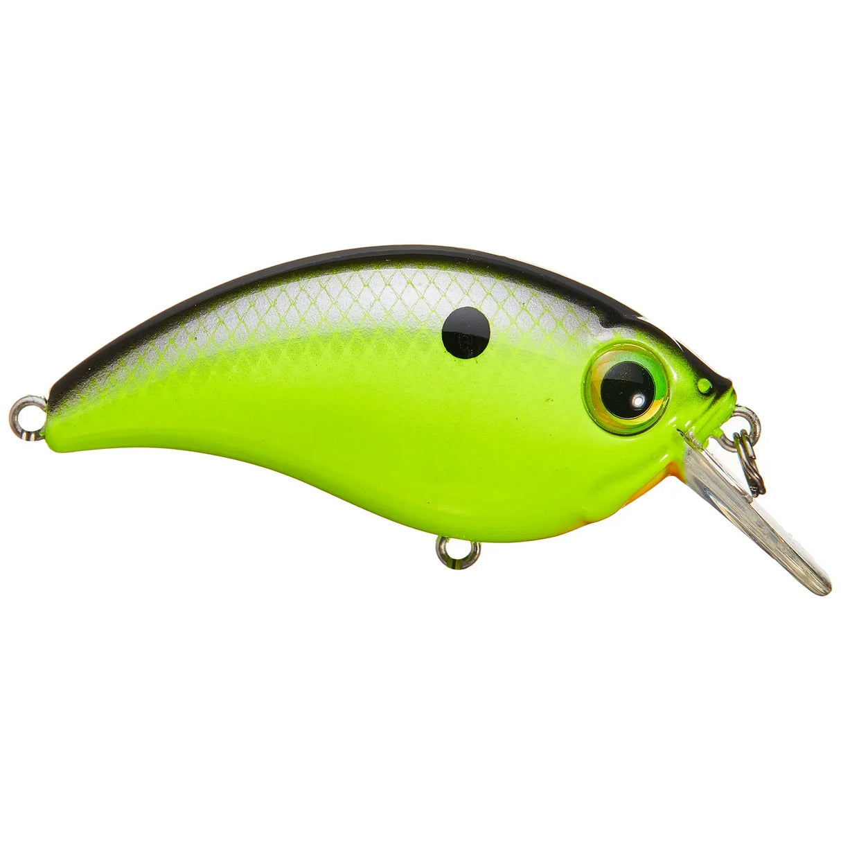 ATV SQUAREBILL - Tackle Shack TX