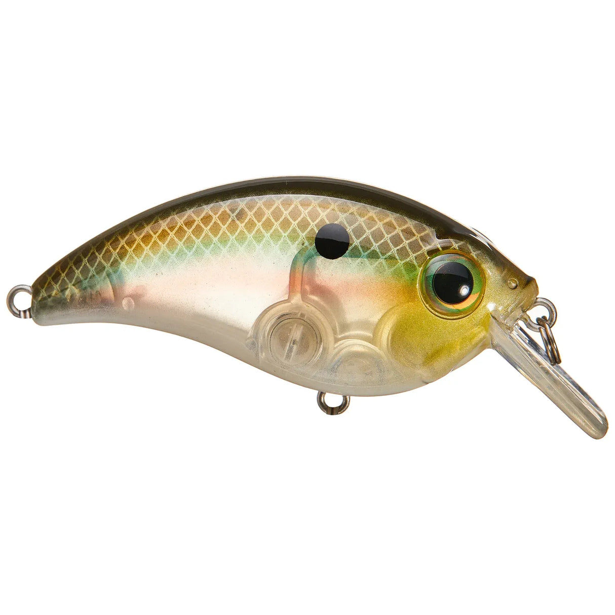 ATV SQUAREBILL - Tackle Shack TX