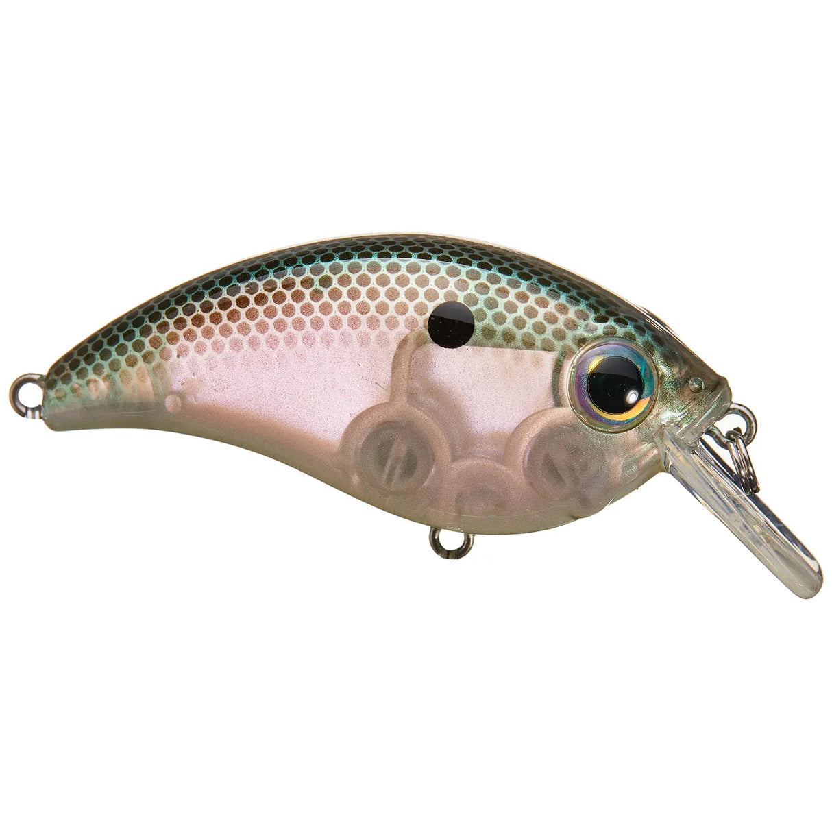 ATV SQUAREBILL - Tackle Shack TX