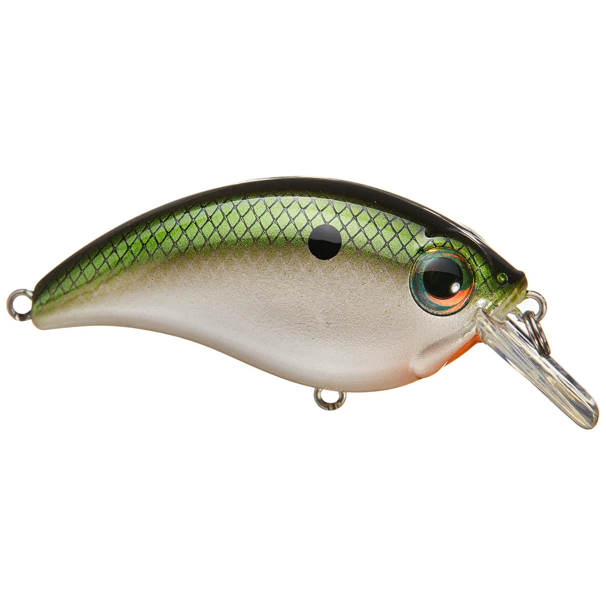 ATV SQUAREBILL - Tackle Shack TX