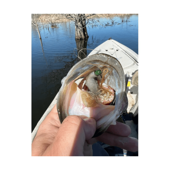Techno Frog soft plastic bass lure in various colors