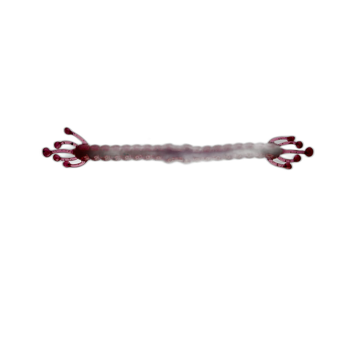 Wacky Alien soft plastic fishing lure — view 16