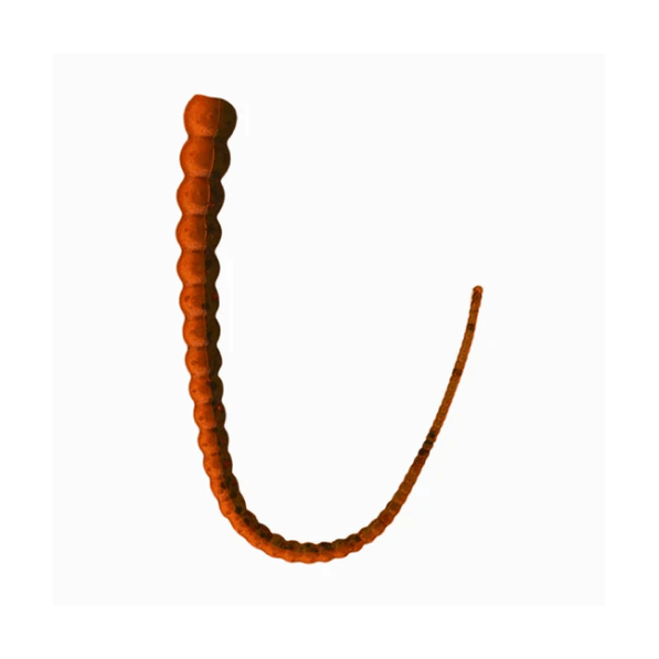 Whip Worm soft plastic bass lure in Fruit Ninja