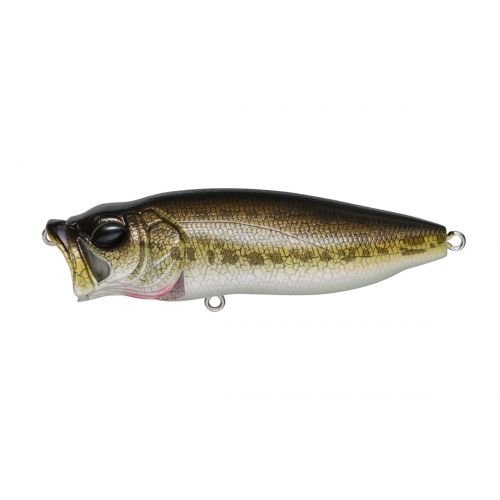 POPMAX - Tackle Shack TX