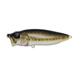 POPMAX - Tackle Shack TX