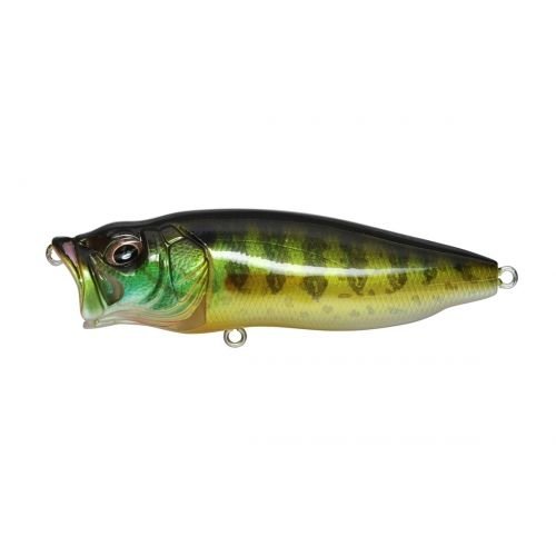POPMAX - Tackle Shack TX