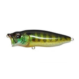 POPMAX - Tackle Shack TX