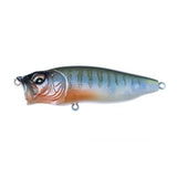 POPMAX - Tackle Shack TX