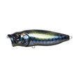 POPMAX - Tackle Shack TX