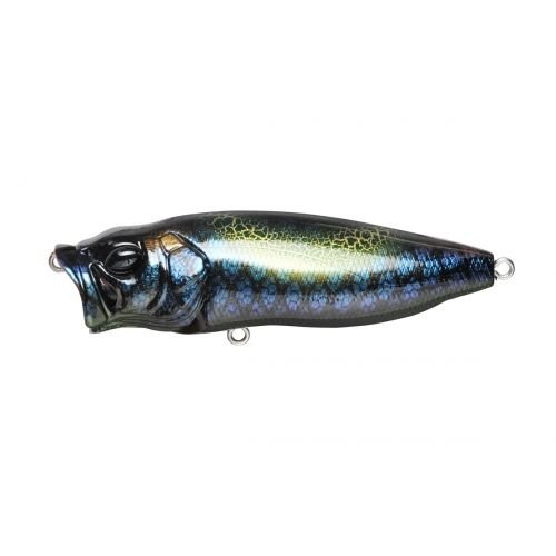 POPMAX - Tackle Shack TX