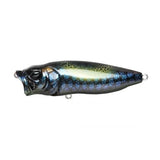 POPMAX - Tackle Shack TX