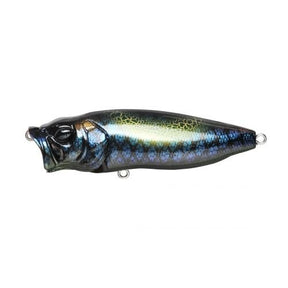 POPMAX - Tackle Shack TX