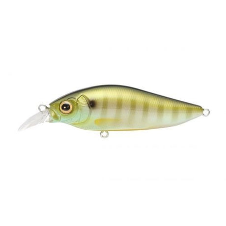 FLAPSLAP - Tackle Shack TX