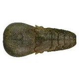 AK Punch Flat 4" - Tackle Shack TX