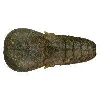 AK Punch Flat 4" - Tackle Shack TX
