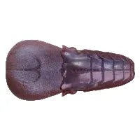 AK Punch Flat 4" - Tackle Shack TX