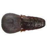 AK Punch Flat 4" - Tackle Shack TX