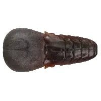 AK Punch Flat 4" - Tackle Shack TX