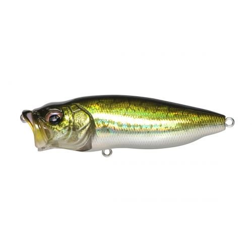 POPMAX - Tackle Shack TX