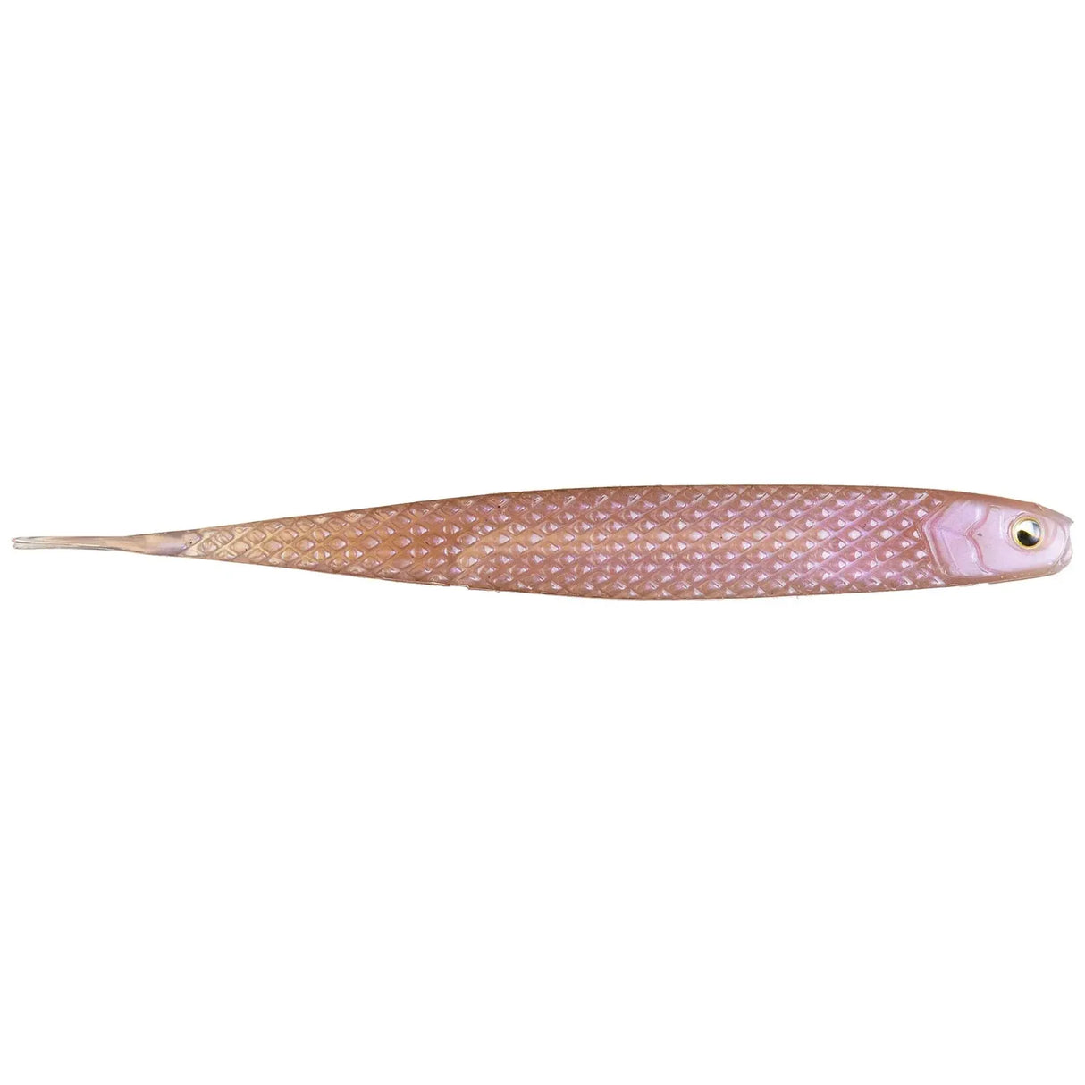 Raid Super Fish Roller - Tackle Shack TX