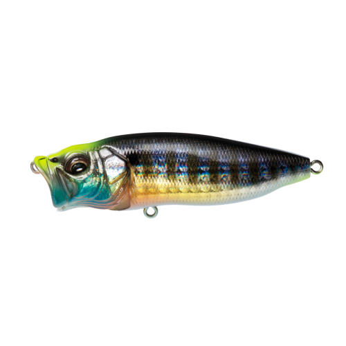POPMAX - Tackle Shack TX
