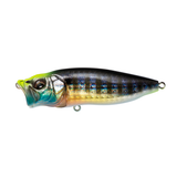 POPMAX - Tackle Shack TX