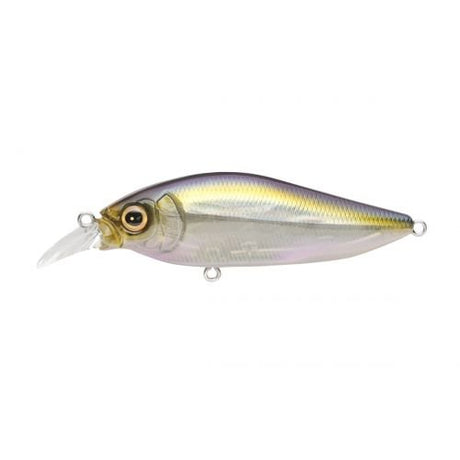 FLAPSLAP - Tackle Shack TX