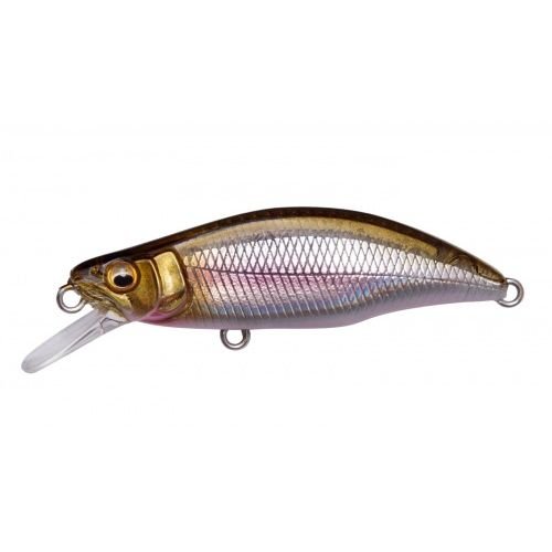 GH46 HUMPBACK (FS) - Tackle Shack TX