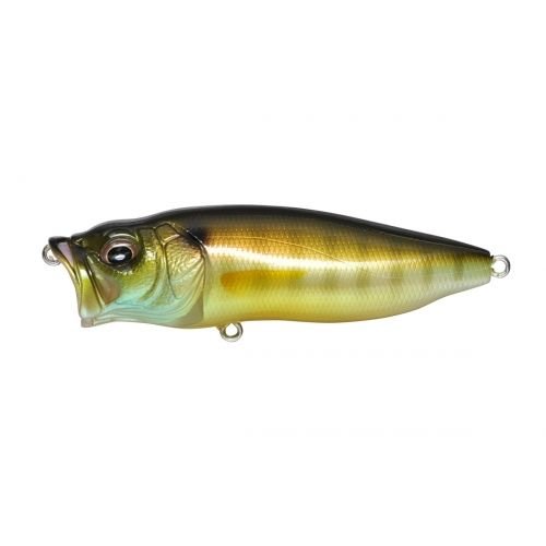 POPMAX - Tackle Shack TX