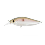 FLAPSLAP - Tackle Shack TX