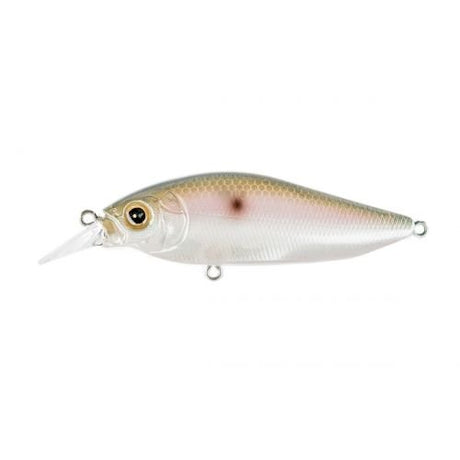 FLAPSLAP - Tackle Shack TX