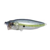 POPMAX - Tackle Shack TX