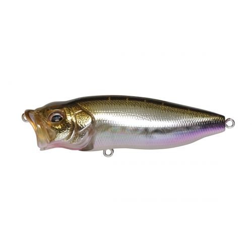POPMAX - Tackle Shack TX
