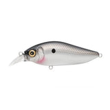 FLAPSLAP - Tackle Shack TX