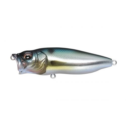POPMAX - Tackle Shack TX