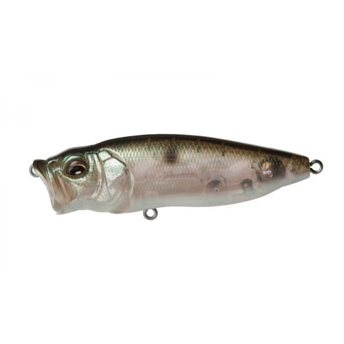 POPMAX - Tackle Shack TX