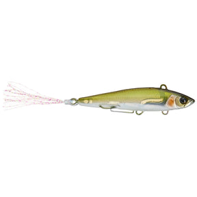 LIVE DARTER 52 - Tackle Shack TX