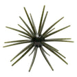Skinny Bear Shake 'Em Up 10mm 2pk - Tackle Shack TX