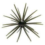 Skinny Bear Shake 'Em Up 10mm 2pk - Tackle Shack TX