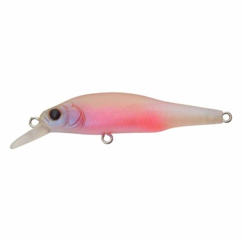X-80 Jr. (BFS) – Tackle Shack TX